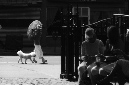 _DSC2849%20(1)