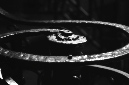 _DSC2852%20(1)