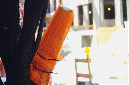 _DSC2882%20(1)