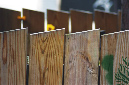 _DSC3024%20(1)