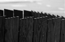 _DSC3026%20(1)