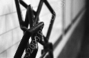 _DSC7388