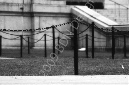 _DSC7477