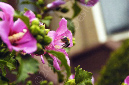 _DSC7632-(1)
