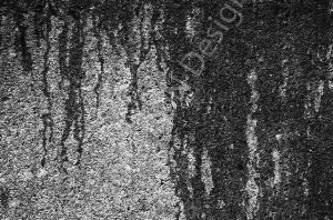 _DSC8199-(1)