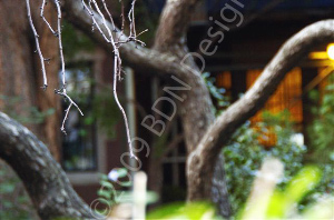 _DSC8212-(1)