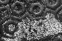 _DSC8001-(1)