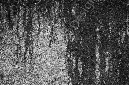 _DSC8199-(1)