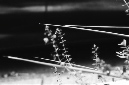 _DSC8261%20(1)