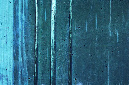 _DSC8302%20(1)