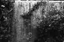 _DSC8357%20(1)
