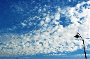 _DSC8371%20(1)