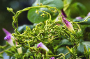 _DSC8413%20(1)