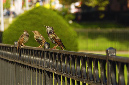 _DSC8438%20(1)