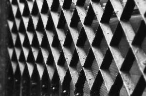 _DSC8506%20(1)