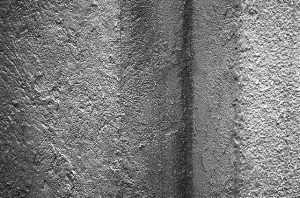 _DSC8527%20(1)
