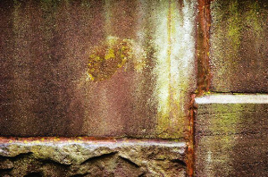 _DSC8544%20(1)