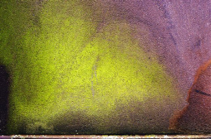 _DSC8554%20(1)