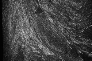 _DSC8563%20(1)