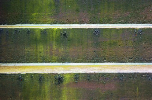 _DSC8581%20(1)