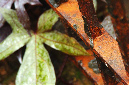 _DSC8481%20(1)