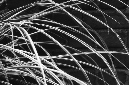_DSC8483%20(1)