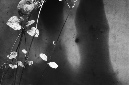 _DSC8520%20(1)