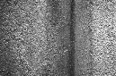_DSC8527%20(1)