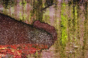 _DSC8540%20(1)