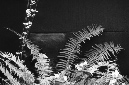 _DSC8542%20(1)