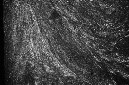 _DSC8563%20(1)