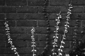 _DSC8702%20(1)