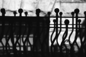 _DSC8784%20(1)