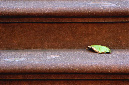 _DSC8646%20(1)