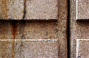 _DSC8726%20(1)