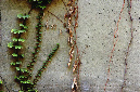 _DSC8736%20(1)