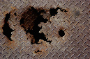 _DSC8768%20(1)