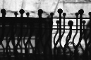 _DSC8784%20(1)