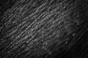 _DSC8819%20(1)