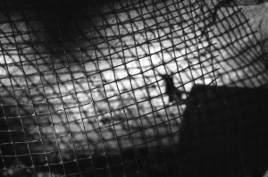 _DSC8962%20(1)