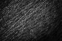 _DSC8819%20(1)