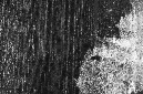 _DSC8821%20(1)