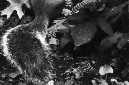 _DSC8850%20(1)