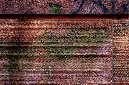 _DSC8856%20(1)