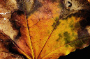 _DSC8940%20(1)
