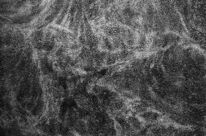 _DSC9258%20(1)