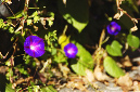_DSC9203%20(1)