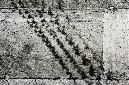 _DSC9238%20(1)