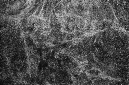 _DSC9258%20(1)