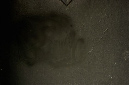 _DSC9264%20(1)